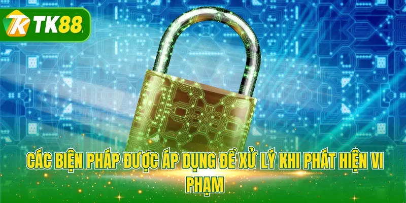 Các biện pháp được áp dụng để xử lý khi phát hiện vi phạm