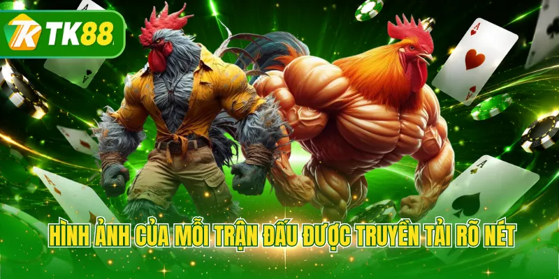 Hình ảnh của mỗi trận đấu được truyền tải rõ nét