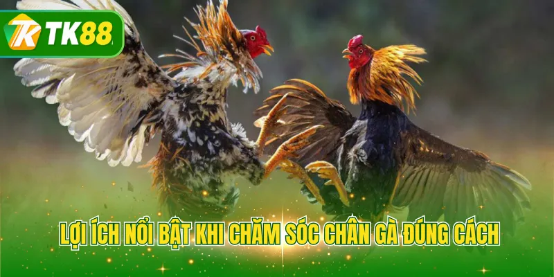 Lợi ích nổi bật khi chăm sóc chân gà đúng cách